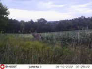IMG_20220919_202555.jpg