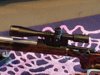 Vortex Golden Eagle.jpg