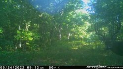 634EAA65-F838-44A1-AE67-DB0F93E678D7.jpeg