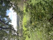 2B92E666-5DBD-4798-9867-87084644157D.jpeg