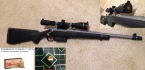 450 bushmaster 3-9x.jpg