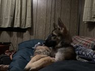 ABED1A63-9D26-461B-B00F-103B0879F37F.jpeg
