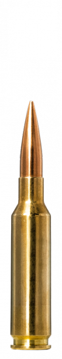10166522_2_123x705.png