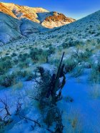 Hike @ cabin_Rem 700 243.jpg