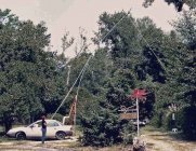 38_foot_-ChainSaw.jpg