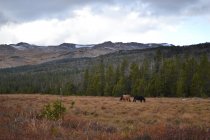 DSC_0007.JPG