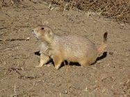 DSC06521.JPG