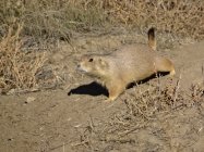 DSC06518.JPG