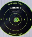 Ballistic-X-Export-2022-10-29 14:53:32.856598.jpg