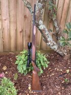 IMG_3272.jpeg