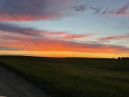 BC407848-BC29-41A1-AB0B-9F063C6D932B.jpeg