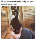 56B37724-76B9-4F62-9230-8CC016C9224B.jpeg