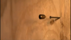 B88530C9-2451-4848-A884-4E73D36B901F.gif