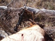 Hunting Pictures 035.jpg