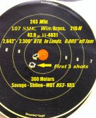 243-107-300m.jpg