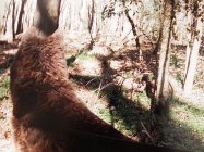 2022_1104_05505300.jpg