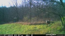 IMG_20221107_204451.jpg