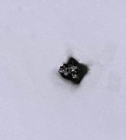 IMG_2500.jpeg