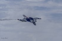 AW5_2608.jpg