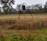 IMG_20221111_125716204_HDR.jpg IMG_20221111_125716204_HDR.jpg