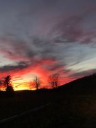 735E54C3-DEFE-483E-83BA-304592DB2E07.jpeg