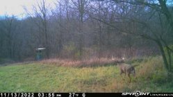 IMG_20221113_171119.jpg