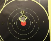 Q5-147-Berrys-RN.jpg