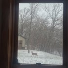 20221117_073118.jpg