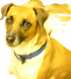 1668731155454.png