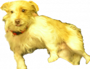 1668731217474.png