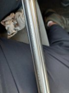 20221119_081721.jpg