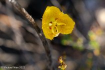 _DSC3473_Web.jpg