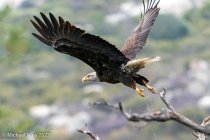 _DSC1859_Web.jpg