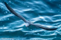 _DSC1496_Web.jpg