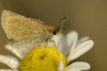 IMG_2116.JPG