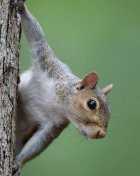 IMG_0266.JPG