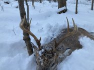 05D44793-0170-4DAF-AC2A-1DAE29563A98.jpeg