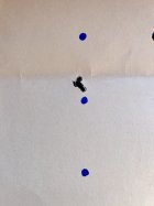 E9685C7B-33BE-4664-BA15-BA3D7FAD1392.jpeg