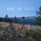 20220828_062942_copy_800x800.jpg