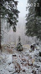 20221022_085509_copy_768x1365.jpg