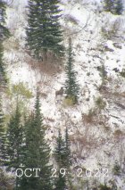 20221029_085329_copy_768x1164.jpg