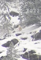 20221112_083337_copy_768x1106.jpg