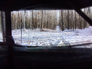 IMG_20221123_144934.jpg