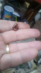 IMG_20221124_143119595.jpg IMG_20221124_143119595.jpg