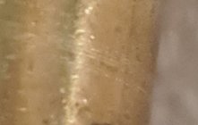 Chamber marks on brass 2.jpg