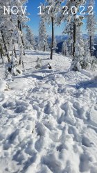 20221117_131332_copy_768x1365.jpg