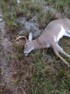 7pt 11 27 22.jpg
