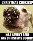 7567D6EA-2A97-4AA5-8FF2-9B5CA3BC33C5.jpeg