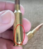 1shell.jpg