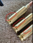 3shells.jpg